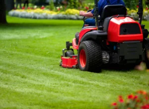 worker doing lawn maintenance